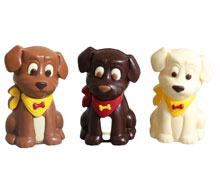 Callebaut Chocolade - Sinterklaas - Hond
